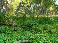 ccw-Empire-Ranch-20230603-034_1