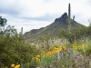 ccw-Picacho-Peak-20190323-093