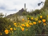 ccw-Picacho-Peak-20190323-099