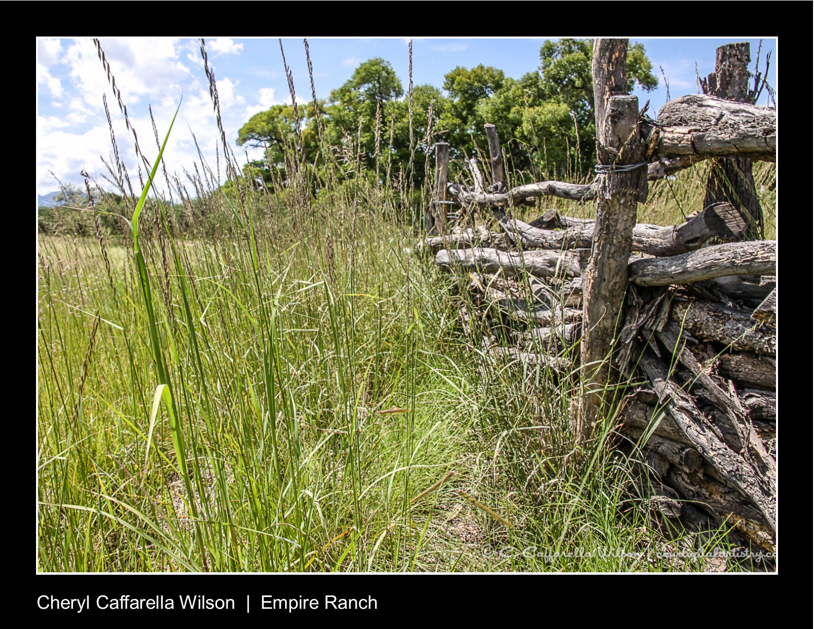 Grasslands with old wooden fence on the Empire Ranch south of Tucson