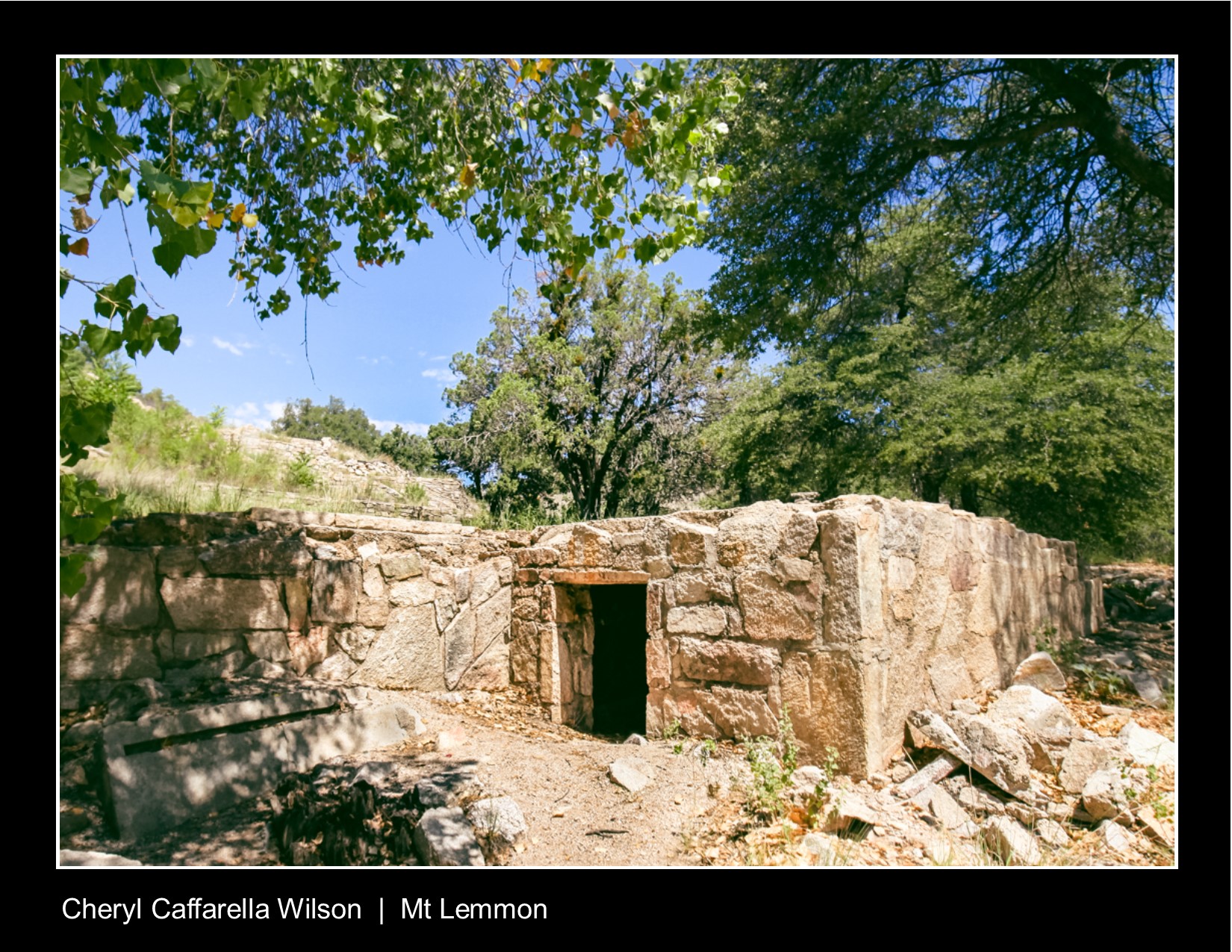 Ruins of Prison Camp at Gordon Hirabayashi Recreation Area on Mt Lemmon